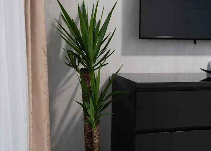 Luno Apartament *