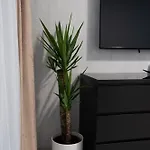 Luno Apartamento *